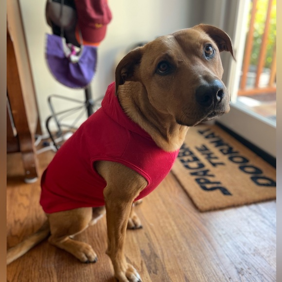 Meet your Posher, Kristen - Picture 2 of 2